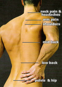 back symptoms