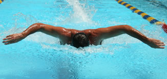 swimming butterfly